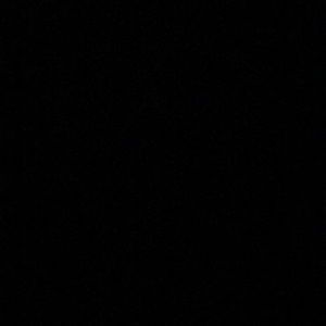 Meet your Posher, Bailey